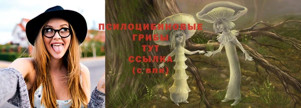 спайс Алзамай