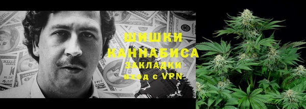 спайс Алзамай