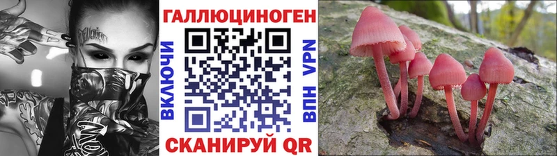 Галлюциногенные грибы Psilocybe  сколько стоит  Усть-Катав 
